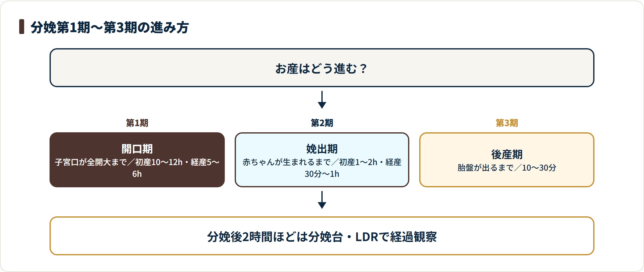分娩が第1期開口期・第2期娩出期・第3期後産期の順に進む流れと所要時間の目安を示す図