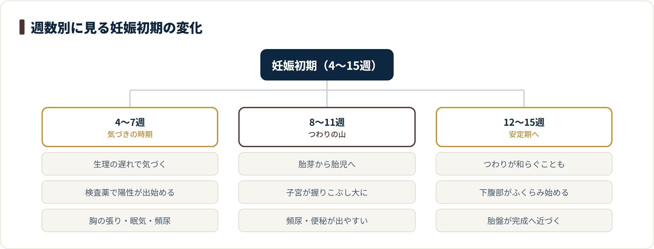 妊娠4〜7週・8〜11週・12〜15週の3期に分け、体の中で起きていることと現れやすい変化を並べた図です。時期や症状の出方には個人差があります。