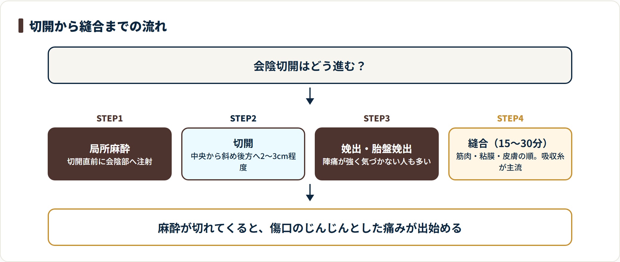 会陰切開の麻酔から切開・娩出・縫合までの流れを示した図