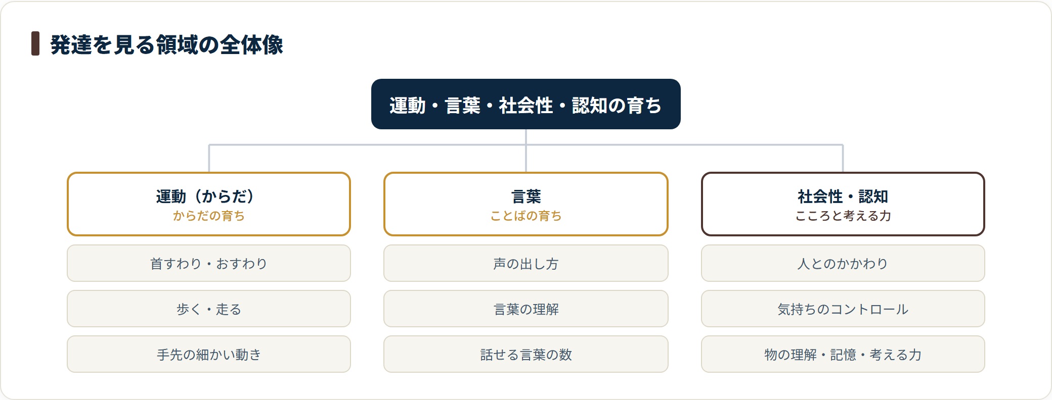 子どもの発達を見る領域を整理した図。運動、言葉、社会性と認知に分け、それぞれの領域で何が育つのかを並べて示している。