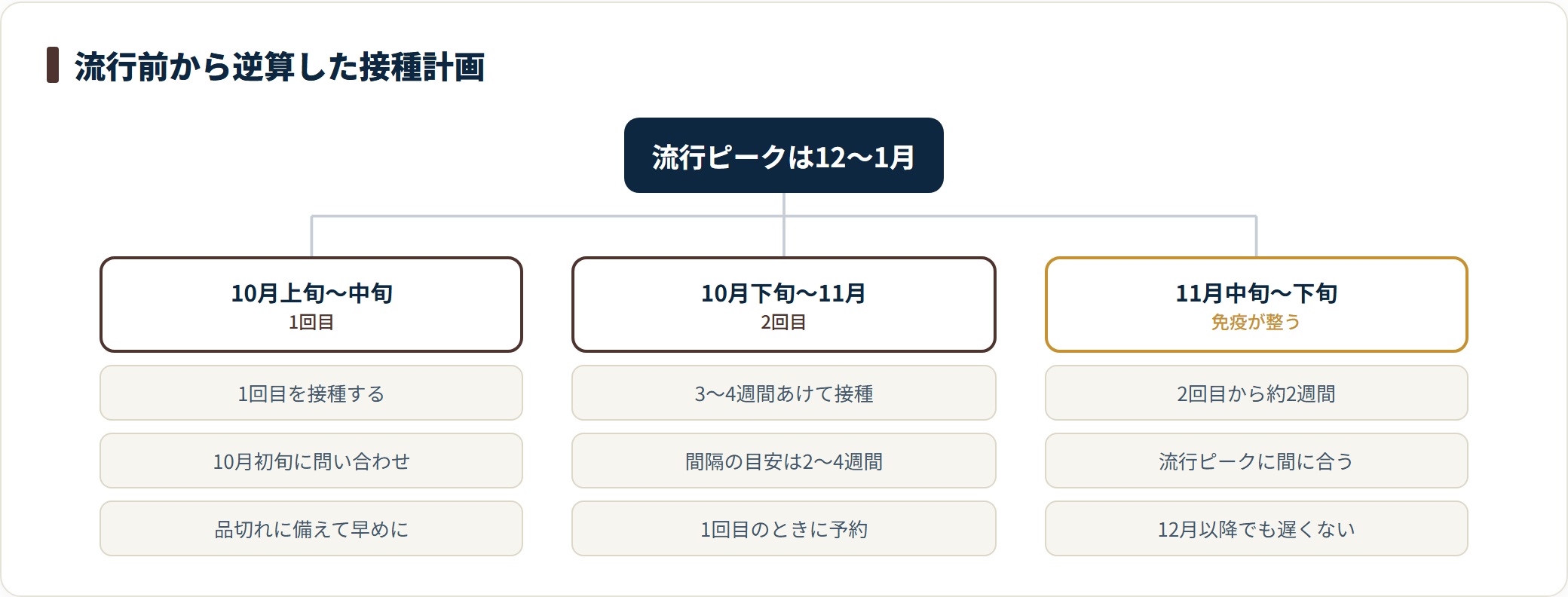 12〜1月の流行ピークから逆算し、10月に1回目、3〜4週間後に2回目、その約2週間後に免疫が整うという接種スケジュールの一例を示した図です。