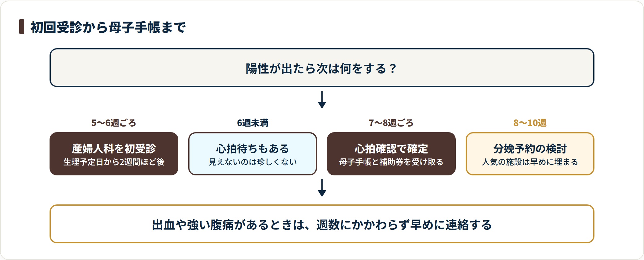 妊娠検査薬で陽性が出てから母子手帳を受け取るまでの流れを整理した図。妊娠5〜6週ごろに産婦人科を初受診し、7〜8週ごろの心拍確認で妊娠が確定して母子手帳と補助券を受け取り、8〜10週ごろには分娩予約の検討が必要になることを示している。