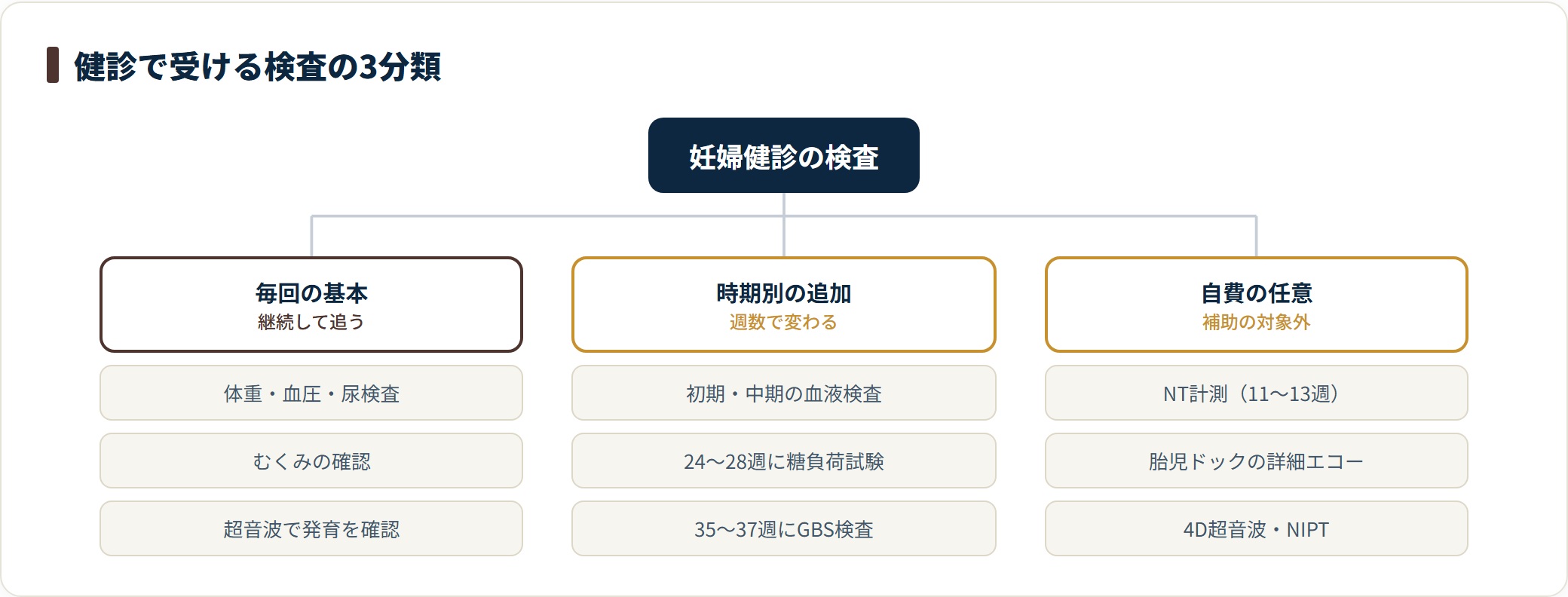 妊婦健診の検査を3つに分類したツリー図。毎回行う体重・血圧・尿・超音波の基本検査、初期の血液検査や24〜28週の糖負荷試験など時期別の追加検査、NT計測や4D超音波など補助対象外の自費オプションに分かれることを示している。