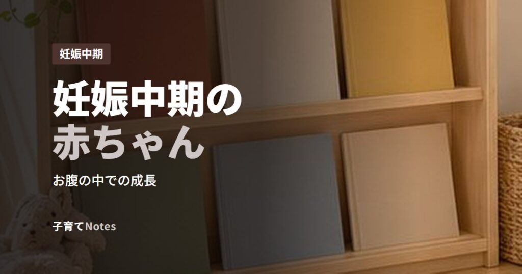妊娠中期の赤ちゃん
